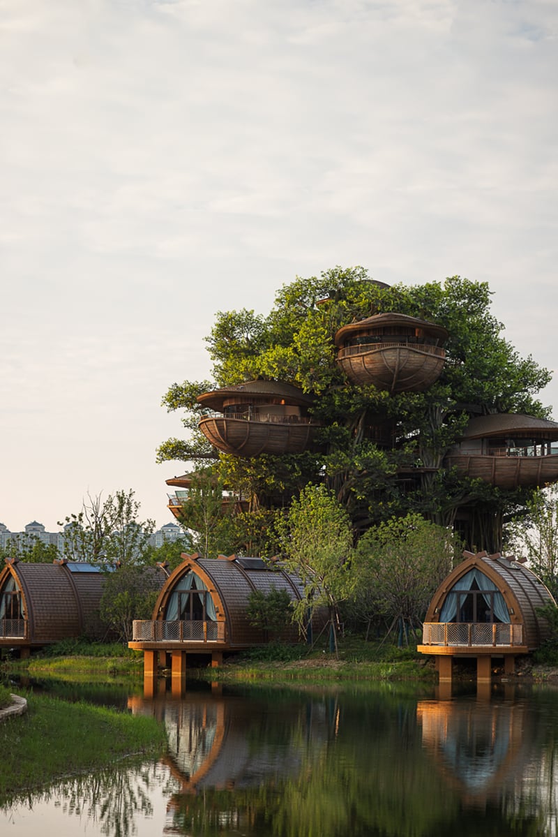 国际认可！武汉城建开元森泊度假乐园斩获2025伦敦设计奖铂金奖